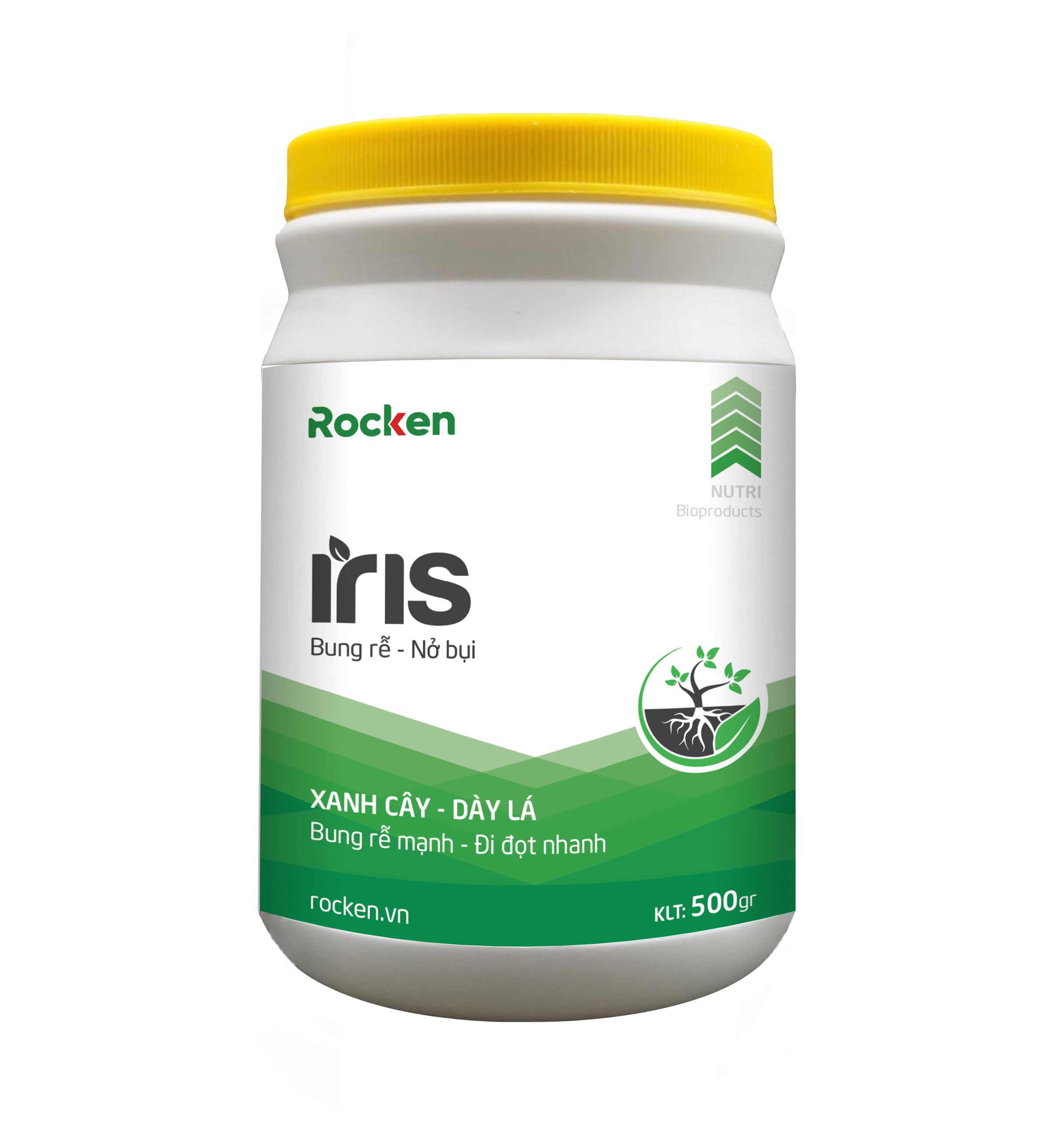 Rocken Iris (Bung Rễ Nở Bụi) – Thuốc Kích Xanh Cây, Dày Lá, Bung Rễ Mạnh, Đi Đọt Nhanh
