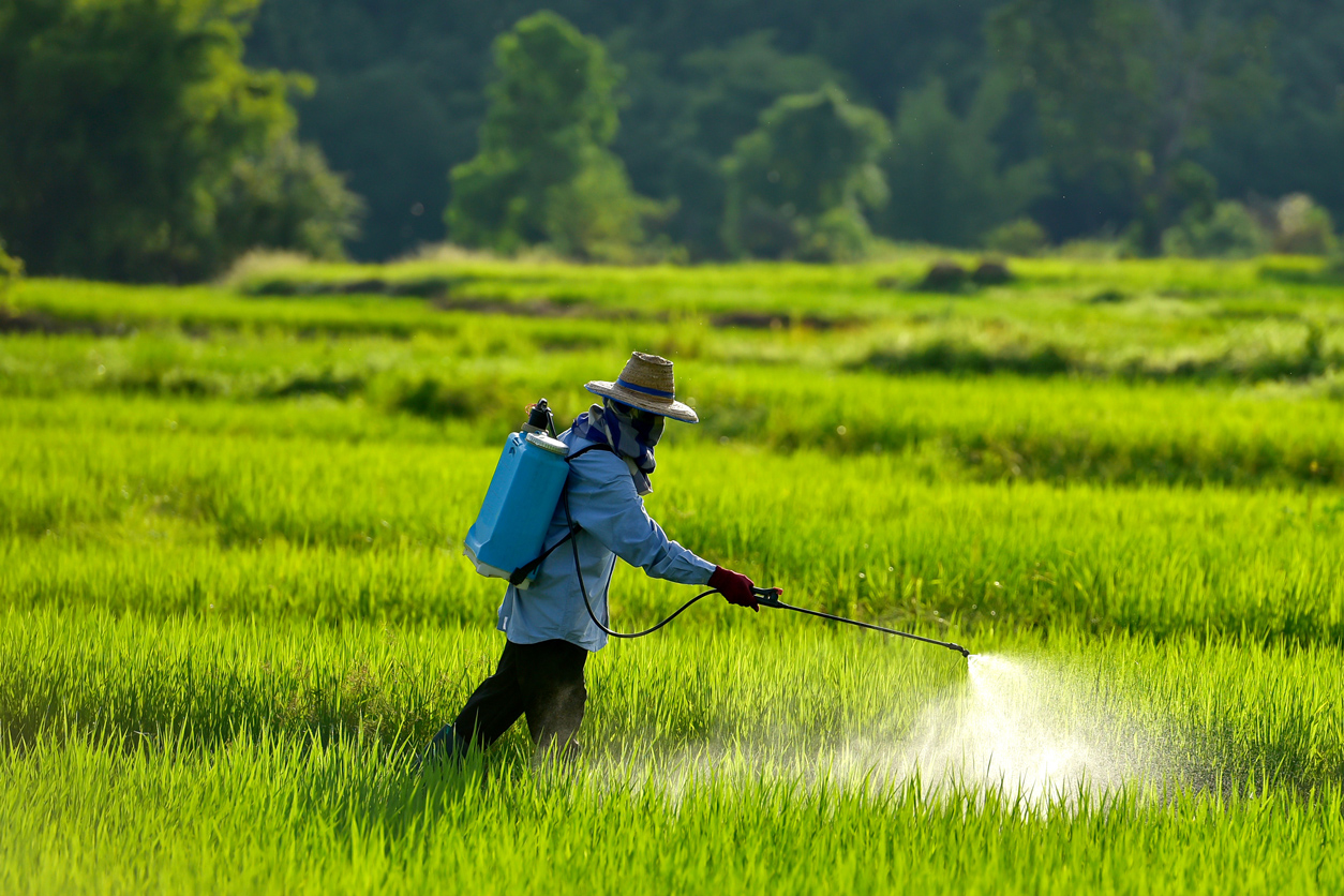 Phun thuốc sâu bao lâu thì sâu chết?