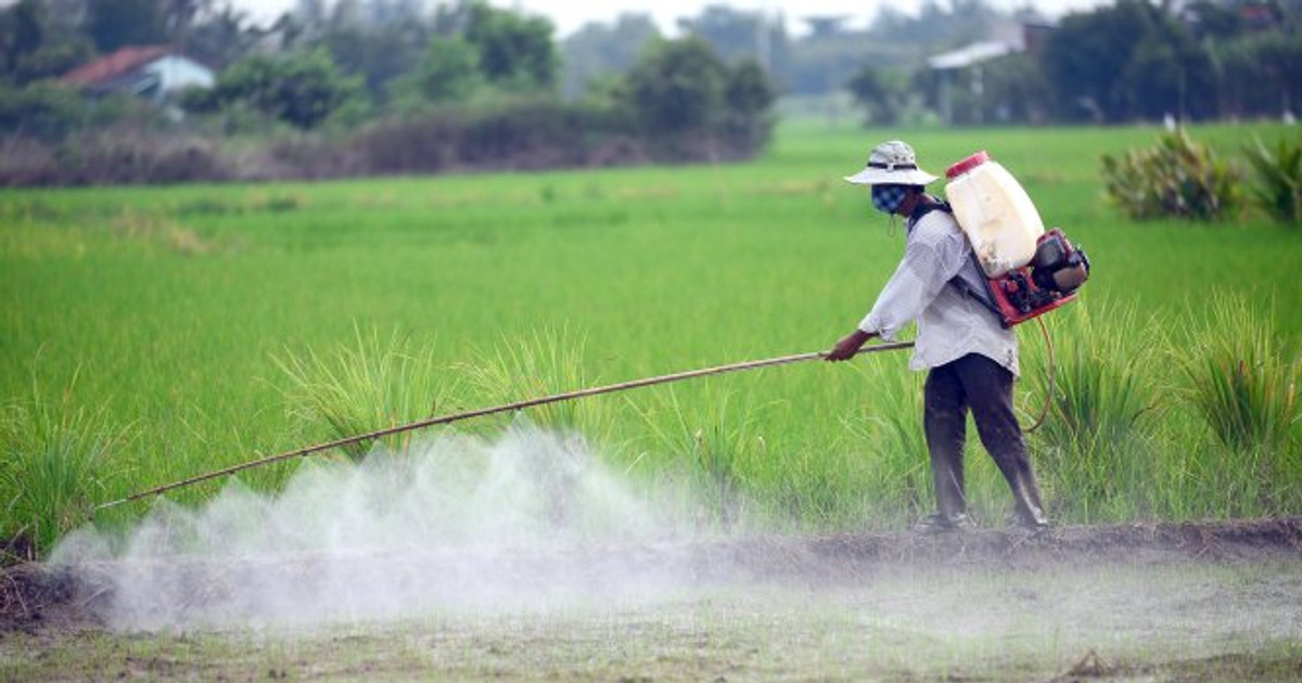 Nguồn gốc của thuốc trừ sâu sinh học