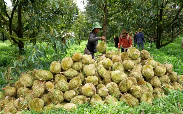 Theo dõi và quản lý sản lượng